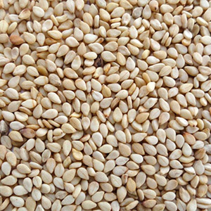 Sesame Seeds
